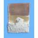 Propatin MS PASTE 500 g